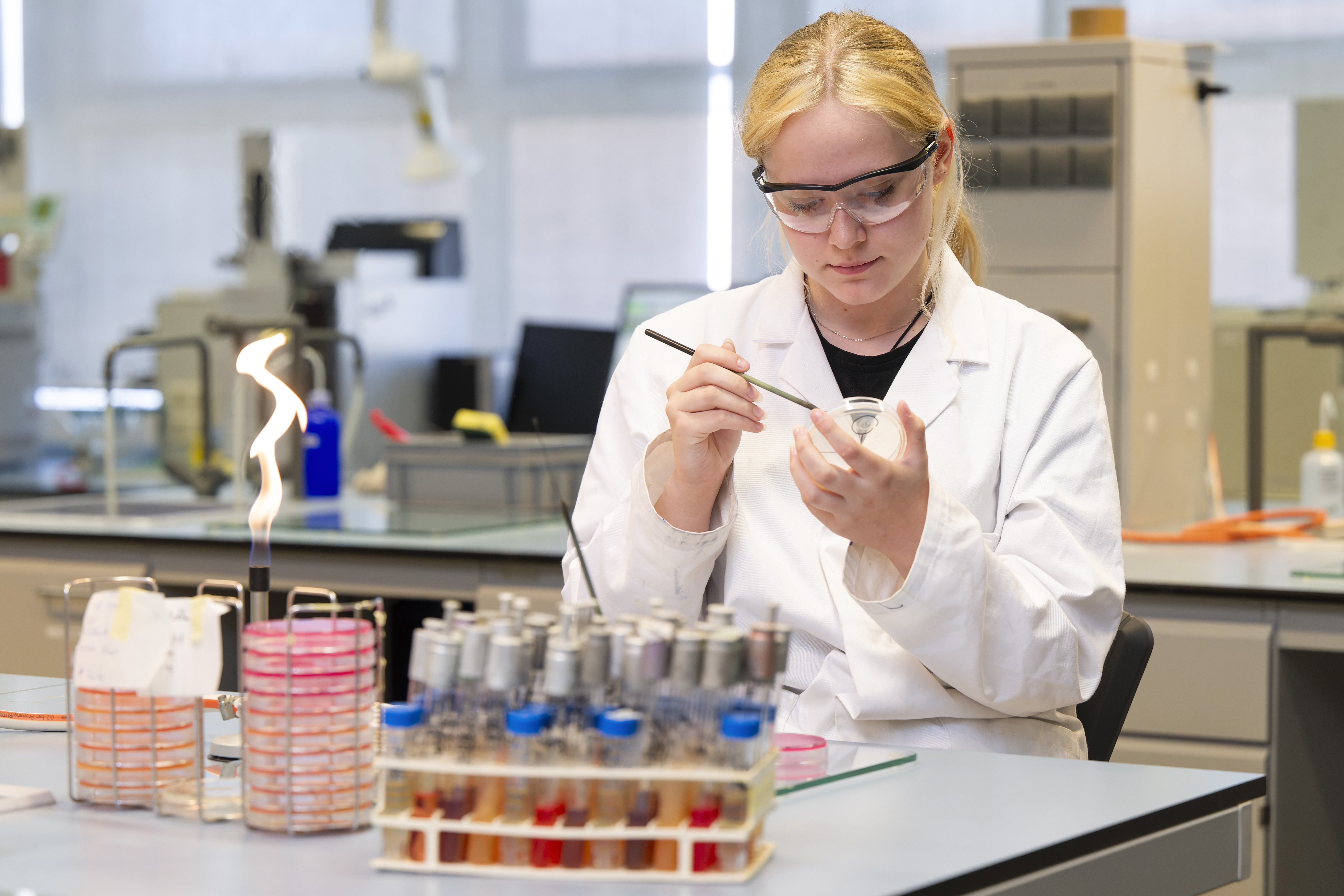 allround-lab-bol-student