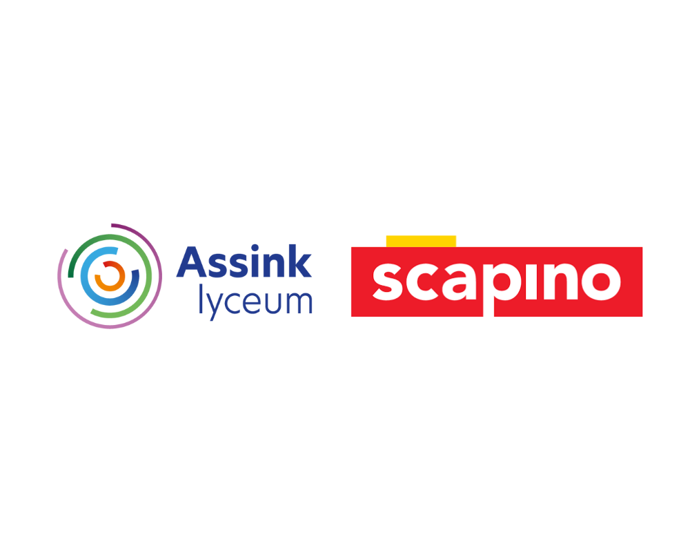 Assink scapino