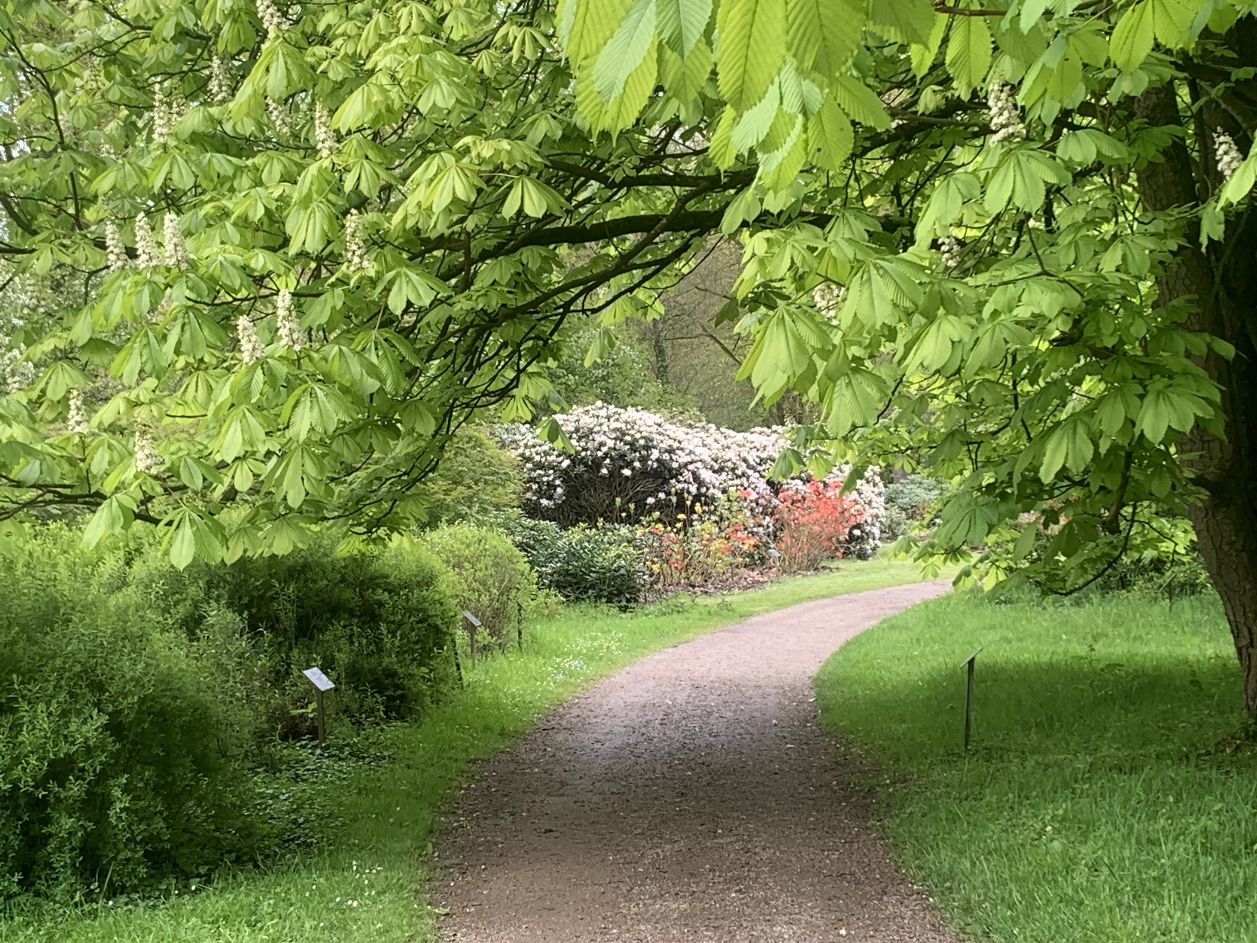 Spiritualiteit in het dagelijks leven